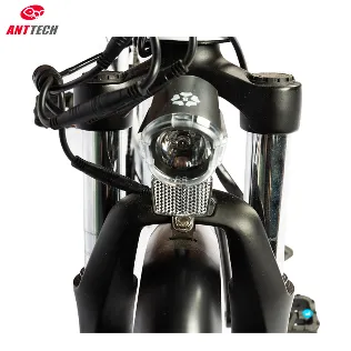 Ibis 36V 250W Electric Bicycle Rear Motor City Ebike for Lady