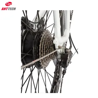 Ibis 36V 250W Electric Bicycle Rear Motor City Ebike for Lady