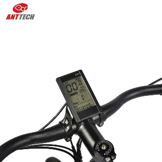 Ibis 36V 250W Electric Bicycle Rear Motor City Ebike for Lady