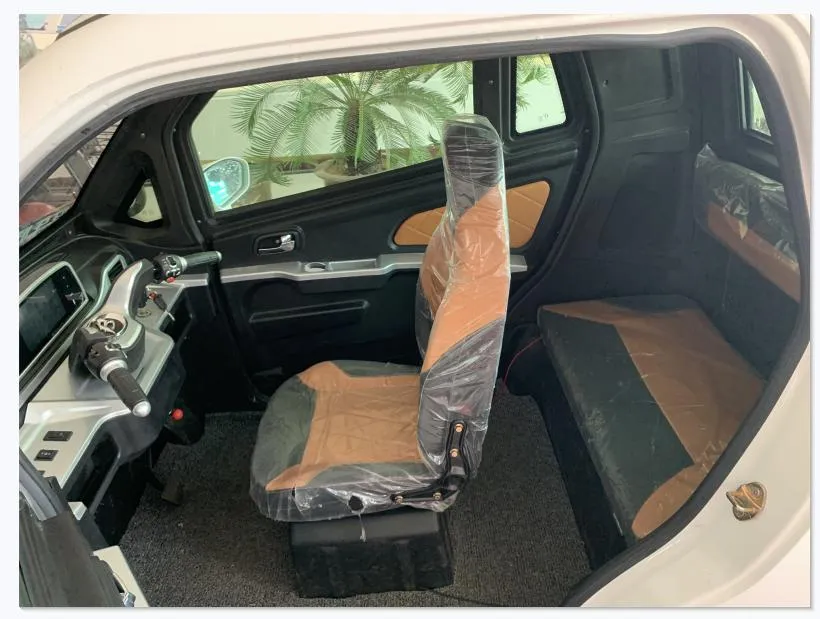 Lead-Acid Battery Rwd Curb Wheel Brake Electric Vehicle