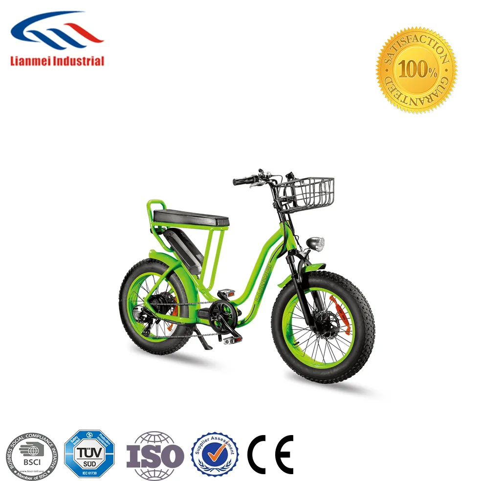 LED Display Women Style E-Bike