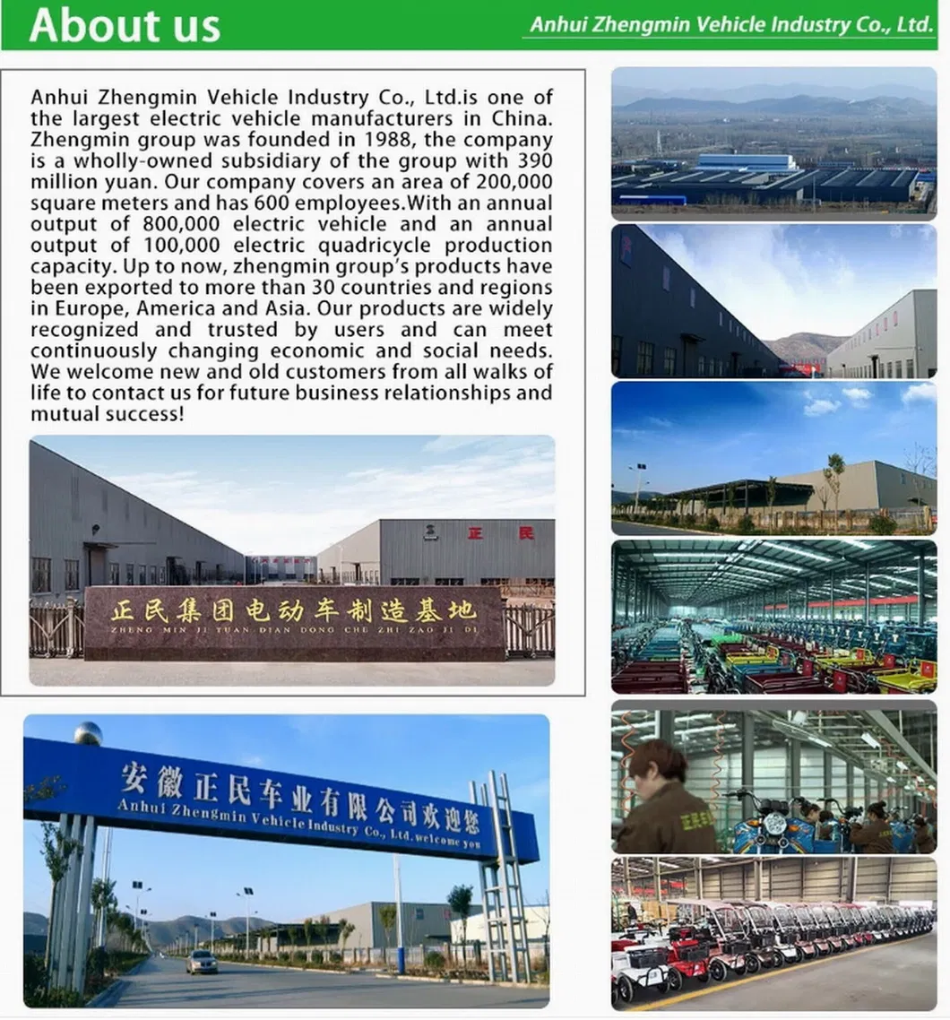 Leisurely Mini Auto Zhengmin Four Wheel Electric Mobility Car 60V500W Motor