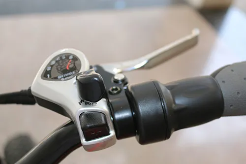 Lianmei Bikes Premium 36V Full Power Folding Electric Bike with 250W 8fun Motor