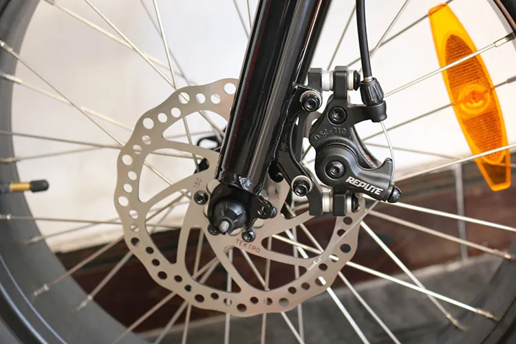 Lianmei Bikes Premium 36V Full Power Folding Electric Bike with 250W 8fun Motor