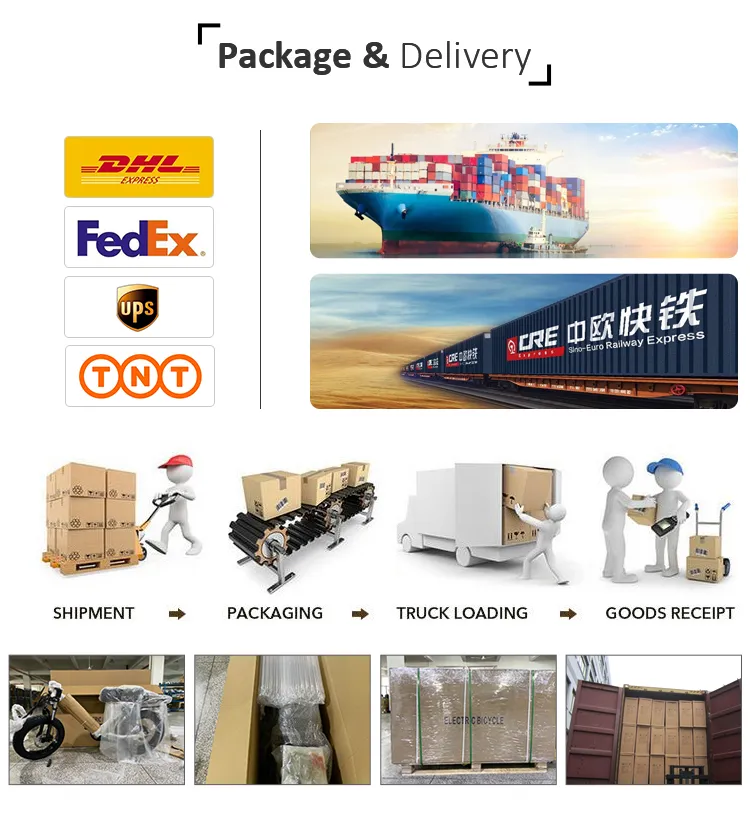 Lohas Electric Fat Bike Full Suspension with Bafang M600 Drive