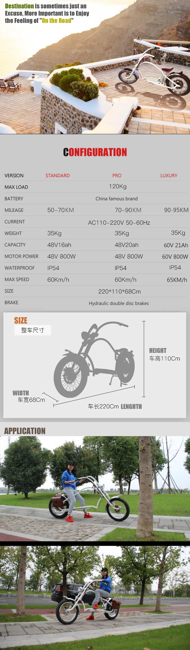 Long Range 70km 800W Fat Tire Chopper Halley Motorcycle Electric Bike