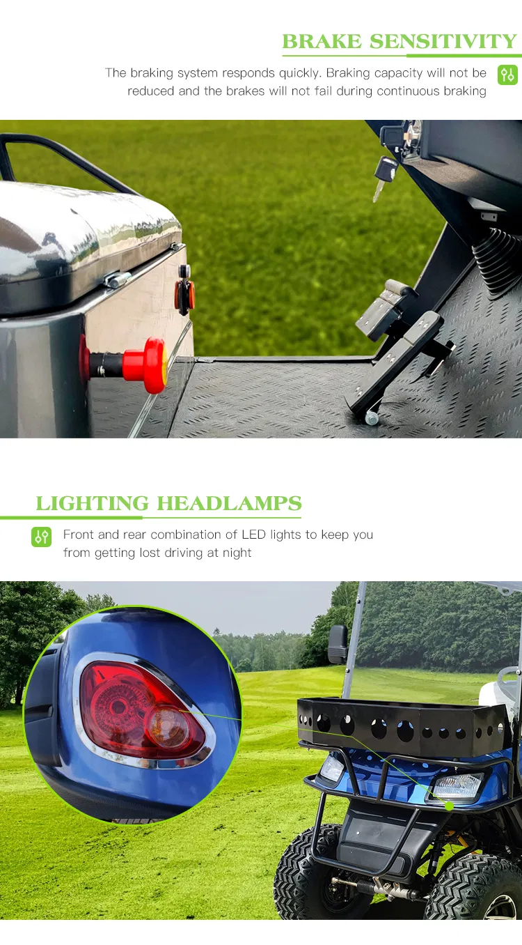 Luxury Electric Golf Cart High Power Club Car Buddy 4+2 Seats Hot Sale Offroad