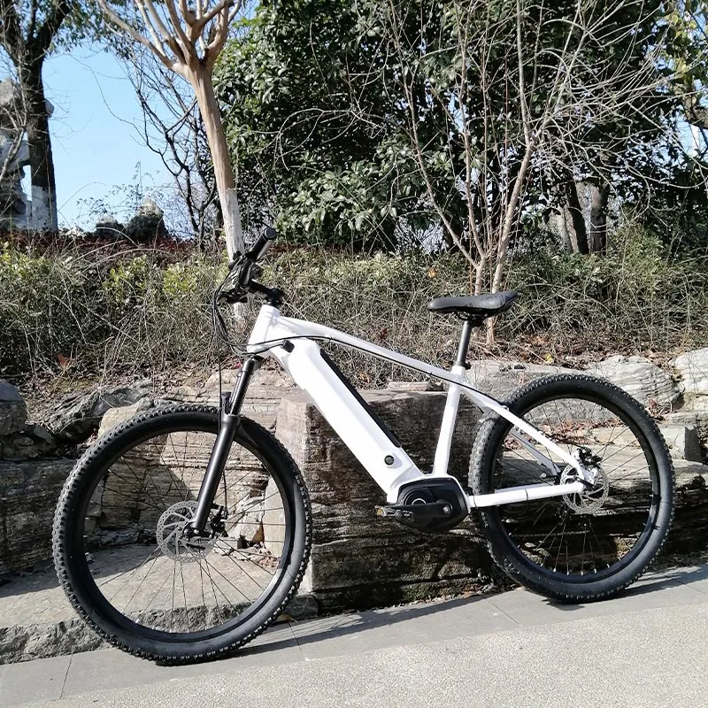 MID Drive System Electric Motorbike Mountain Bicycle Dirt Bicycle with Lithium Battery for Sale