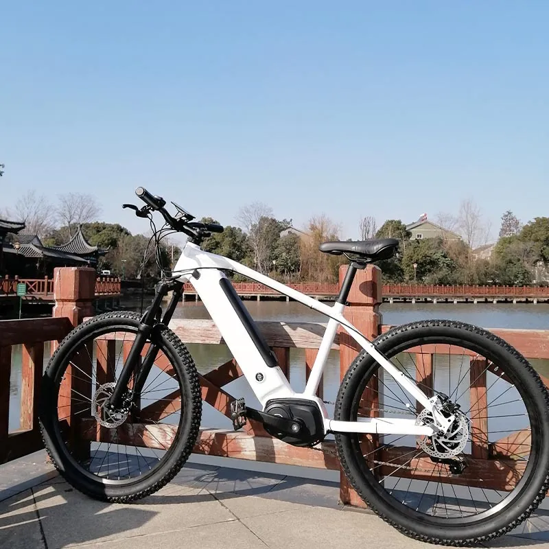 MID Drive System Electric Motorbike Mountain Bicycle Dirt Bicycle with Lithium Battery for Sale