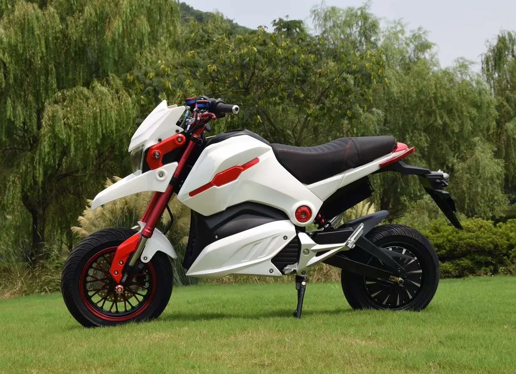 New Arrival CE Approved Green Energy Electric Motorcycle M5 Msx