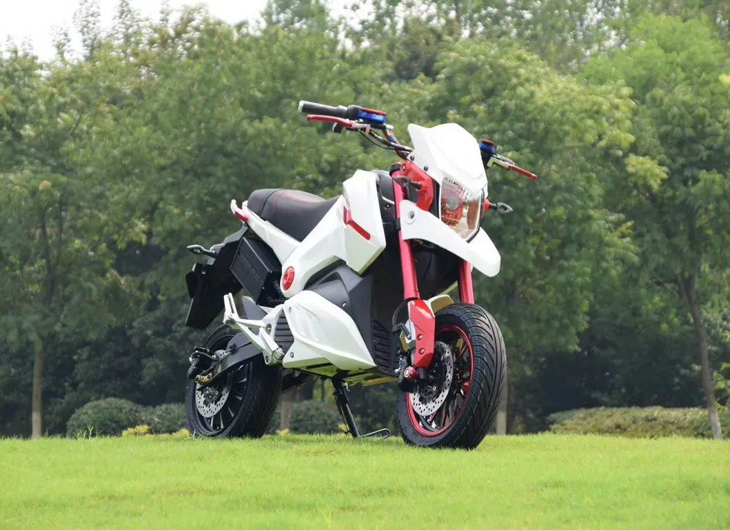 New Arrival CE Approved Green Energy Electric Motorcycle M5 Msx