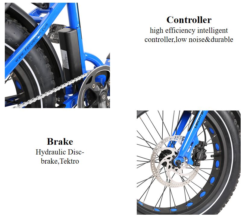 New Arrival Paselec Electric Fat Tire Folding Bike 20" Ebike 7 Speed Gears 500W 100 Miles with 10.4-14ah Battery
