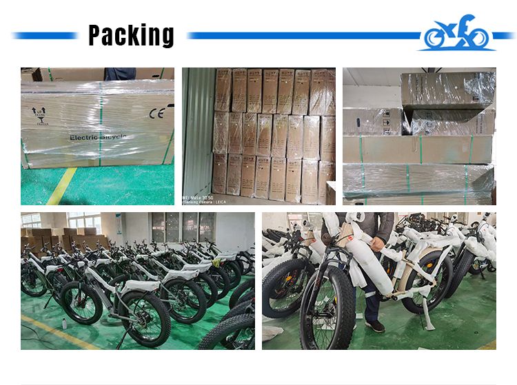 New Color 20 Inch Vintage Beach Cruiser Handle Bar Long Seat 750W Super 73 Himiway Fat Tire Electric Bike for Women