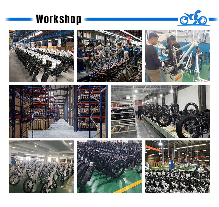 New Color 20 Inch Vintage Beach Cruiser Handle Bar Long Seat 750W Super 73 Himiway Fat Tire Electric Bike for Women