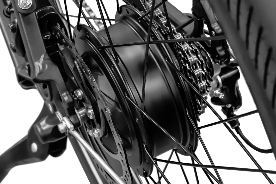 New Design Light Weight with LCD Display Function Shared Ebike E Bike