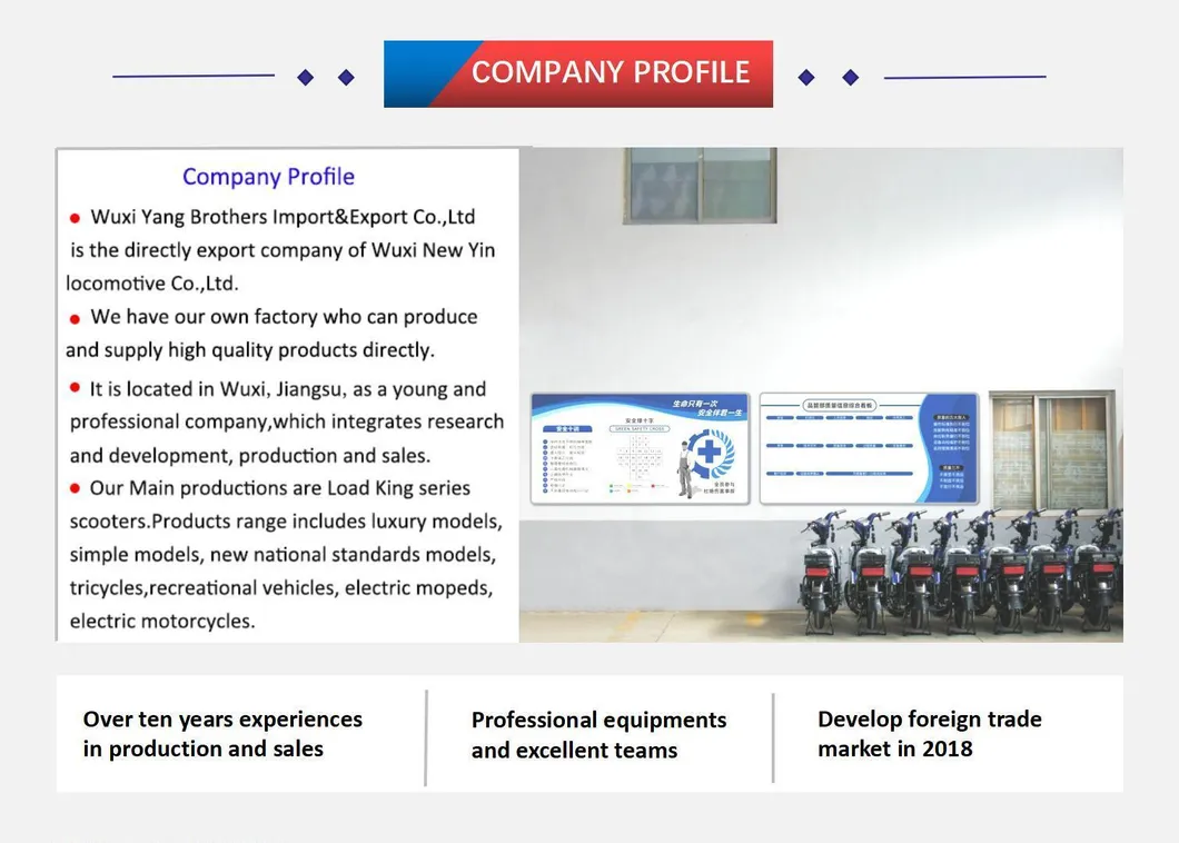 New Fashion 3000W Electric Motorcycle for Sale