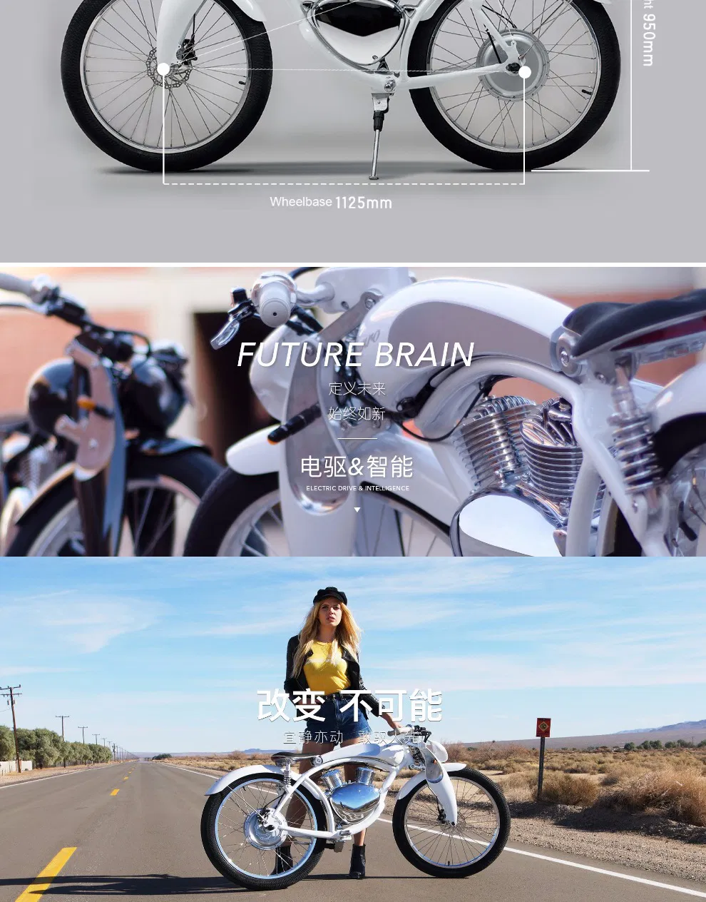 New Generation Retro Modern Stylish Munro 2.0 26 Zoll E. Two Wheeler Heavy Duty Electric Bike Set