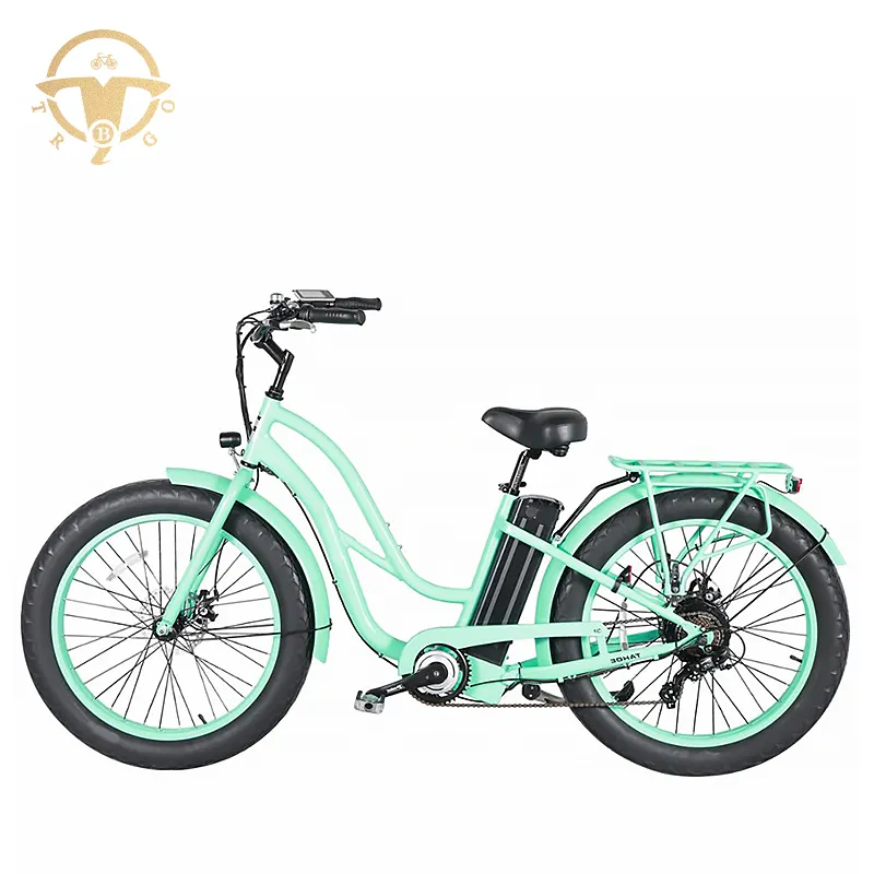 New Style Hot Selling 26 Inch Fat Tire E-Bike Muse Brushless Electric Bike for Adults