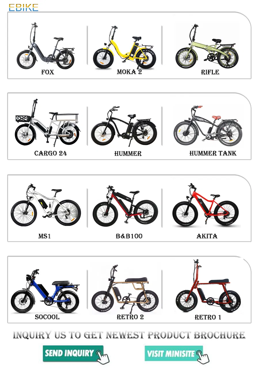 New Style Hot Selling 26 Inch Fat Tire E-Bike Muse Brushless Electric Bike for Adults