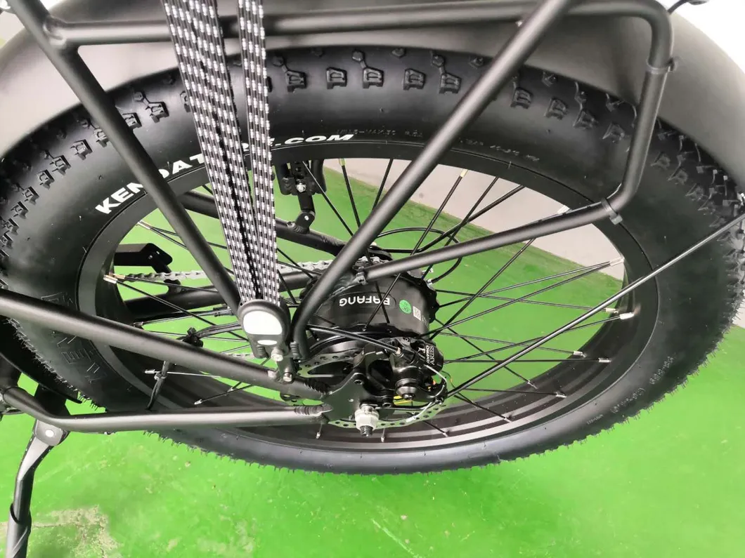 New Style Hot Selling 26 Inch Fat Tire E-Bike Muse Brushless Electric Bike for Adults
