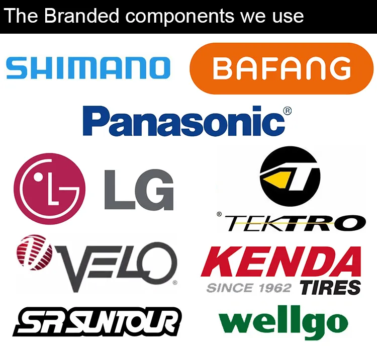 Newest 48V 500W Electric Bike with Bafang M600 Middle Motor