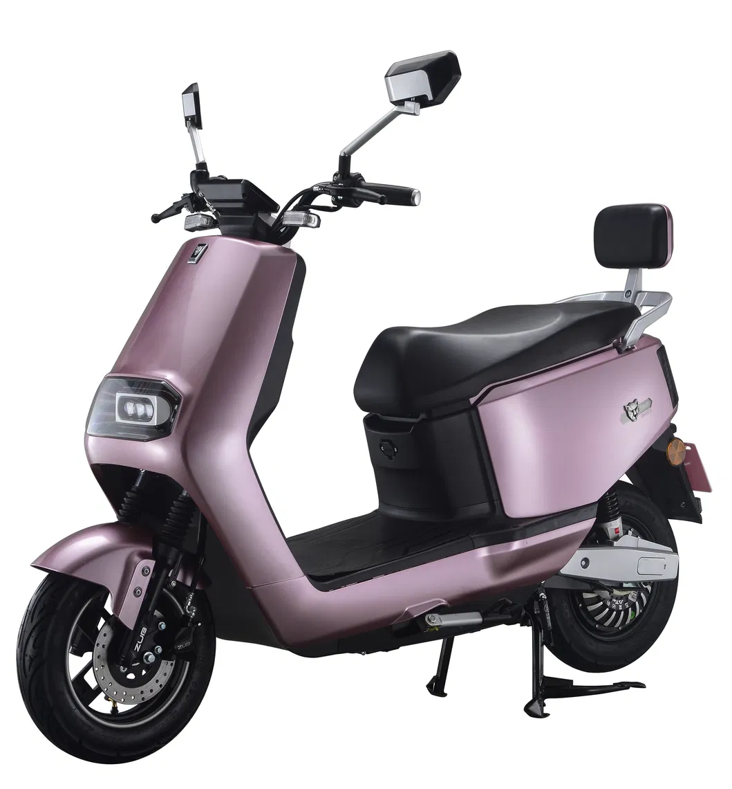 Niu Style Electric Motorcycle with 60V72V Storage Battery CKD, SKD, CBU Avaliable