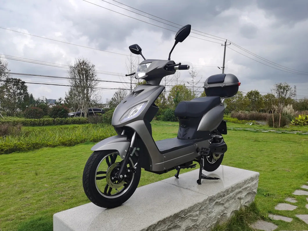 OEM 500W Pedal Assisted Electric Moped with Two Seats