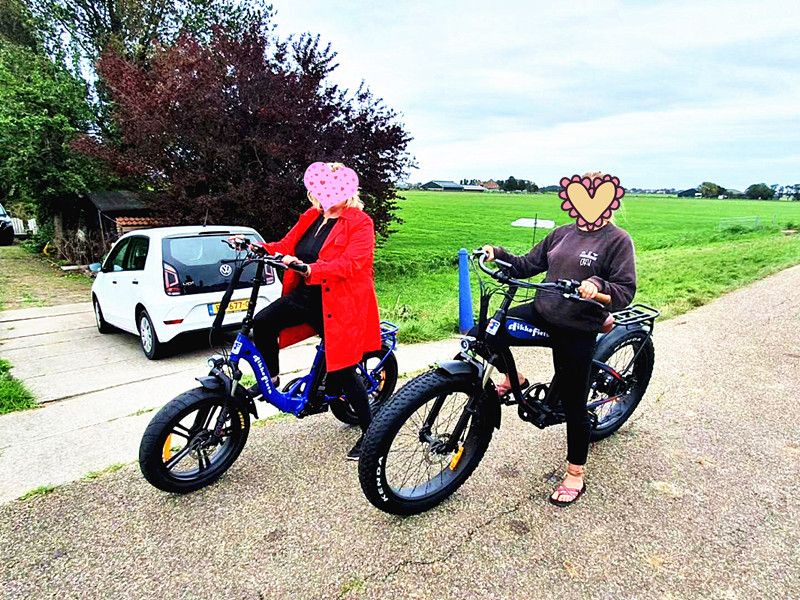 OEM Bike 26 Inch Fat Tire Electric Bicycle