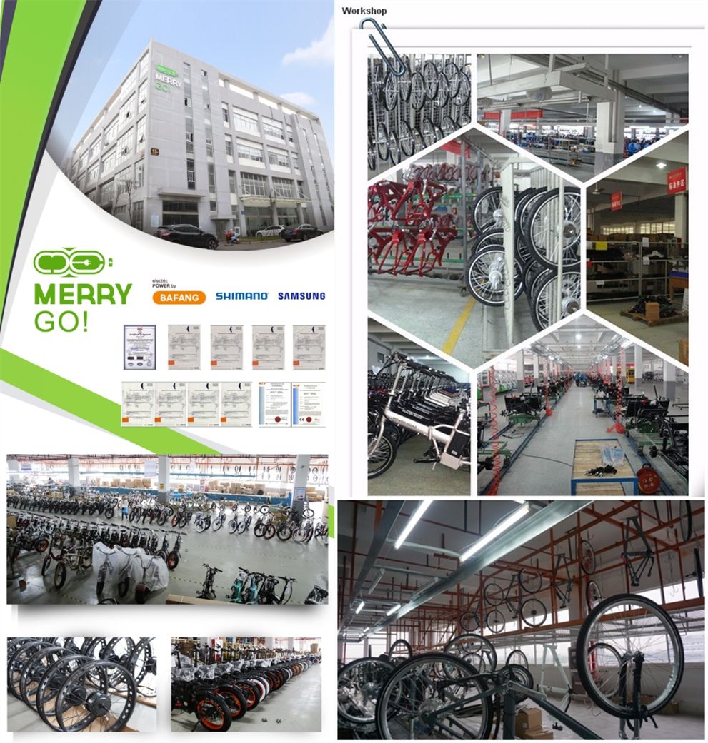 OEM Foldable Bicicletas Electricas/48V500W E Cycle Electric Bike /20 Inch Folding Electric Bike
