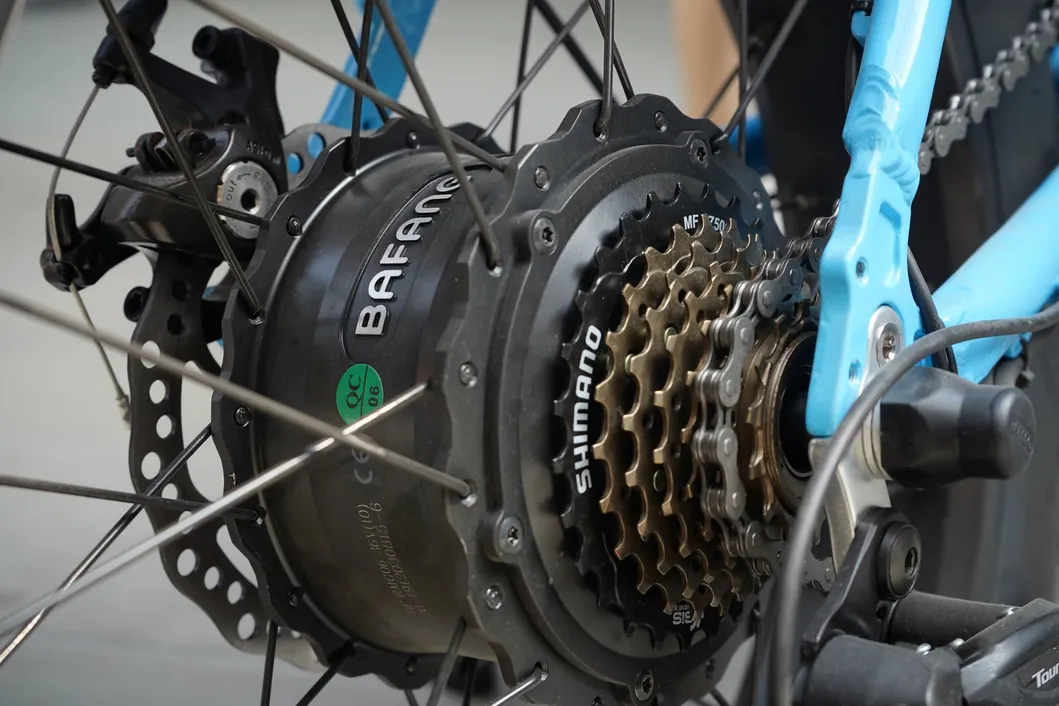 OEM&ODM Available High Quality Fat Tire Mountain Ebike