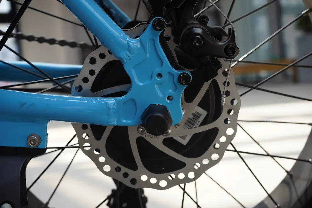 OEM&ODM Available High Quality Fat Tire Mountain Ebike