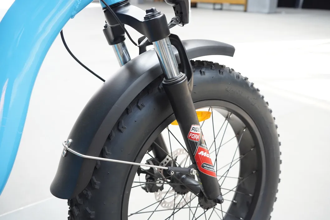 OEM&ODM Available High Quality Fat Tire Mountain Ebike