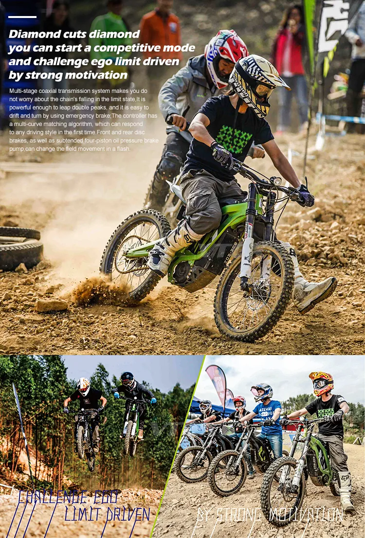 2020 Youth Ebike Kids off Road Sur Ron Light Bee X Electric Motorcycle