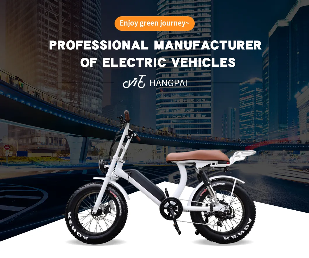 Pedal Assist Front Drive Geared Brushless Electric Motor for Ebike