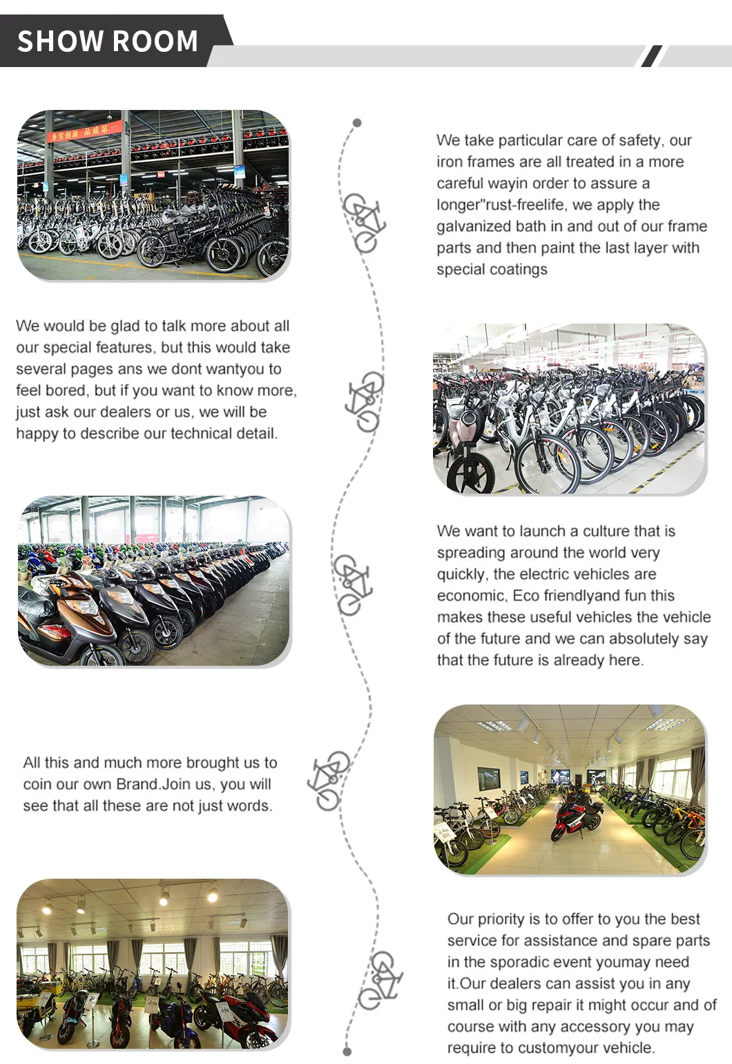 Pedal Assist Front Drive Geared Brushless Electric Motor for Ebike