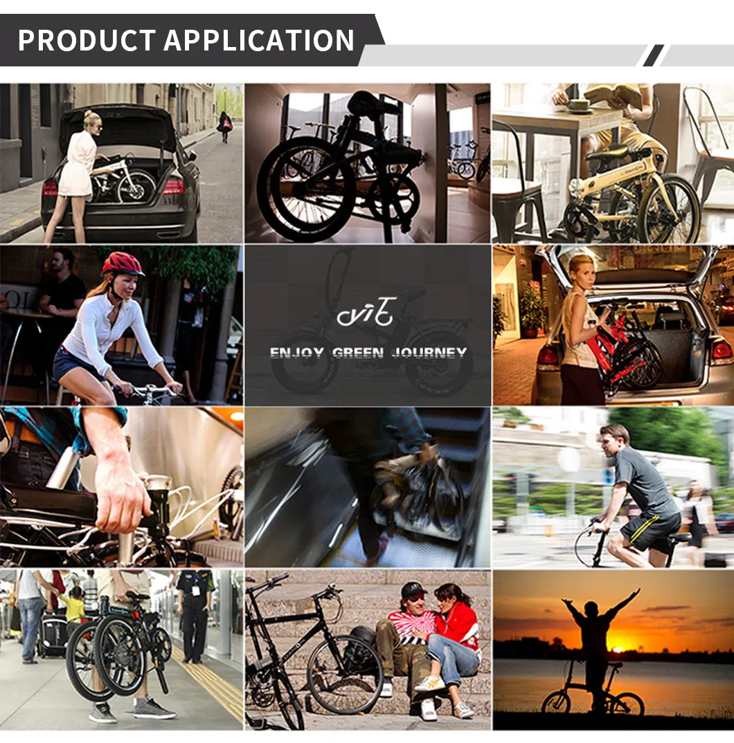 Pedal Assist Front Drive Geared Brushless Electric Motor for Ebike