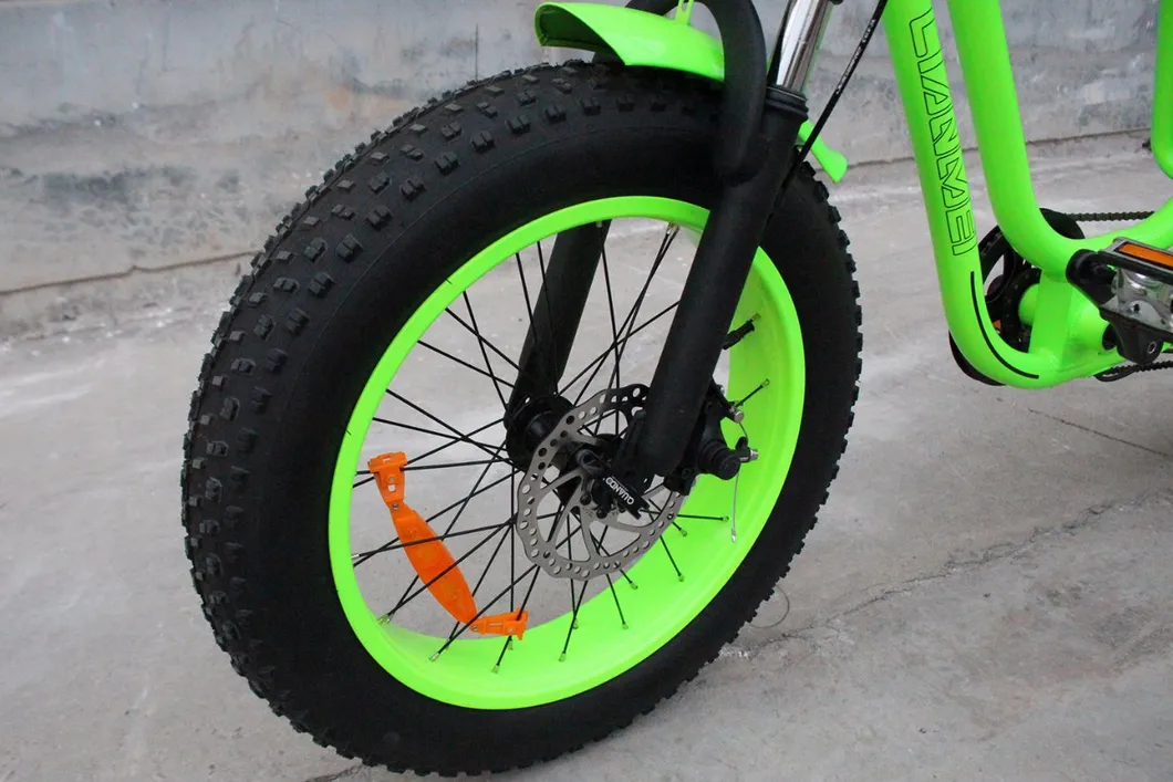 Powerful High Speed 4.0 Fat Tire Electric Bicycle for Snow and Beach