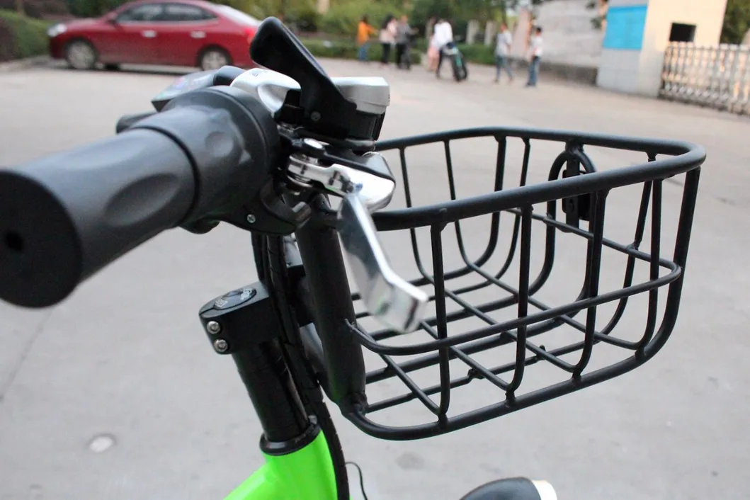 Powerful High Speed 4.0 Fat Tire Electric Bicycle for Snow and Beach