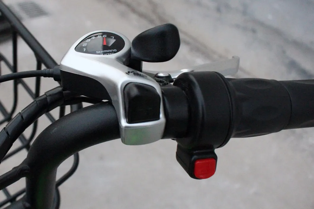 Powerful High Speed 4.0 Fat Tire Electric Bicycle for Snow and Beach