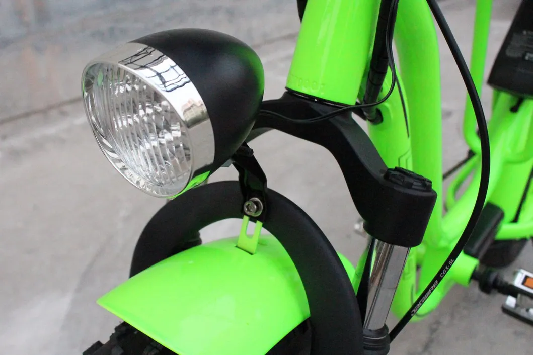 Powerful High Speed 4.0 Fat Tire Electric Bicycle for Snow and Beach