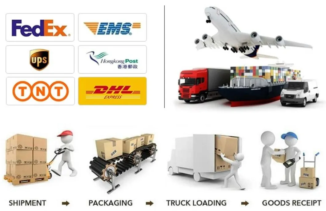 Pure Electric Vehicle with 4 Seats Max Speed 100km/H Electric Car