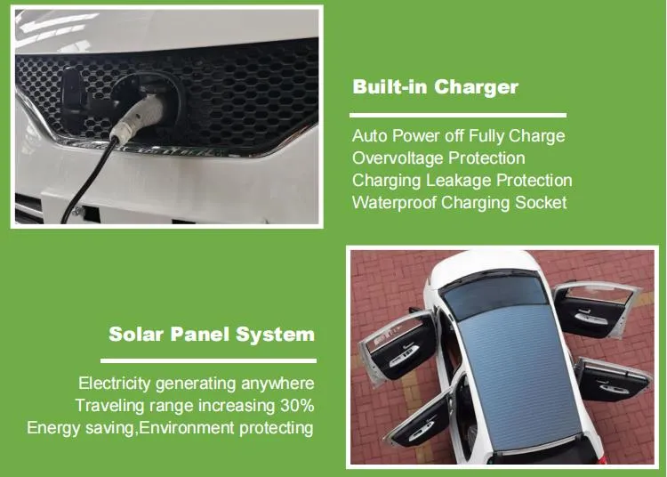 Qingdao Raysince Rhd Electric Car Electric Vehicle