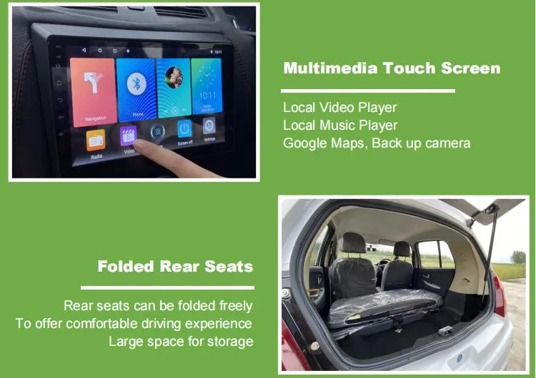 Qingdao Raysince Rhd Electric Car Electric Vehicle