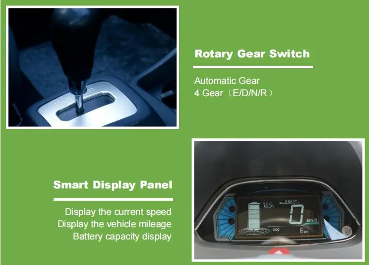 Qingdao Raysince Rhd Electric Car Electric Vehicle