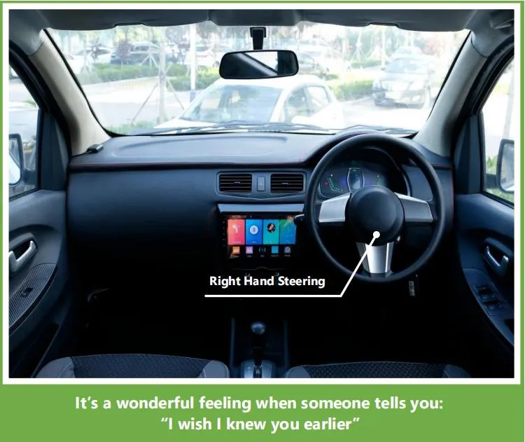 Qingdao Raysince Rhd Electric Car Electric Vehicle