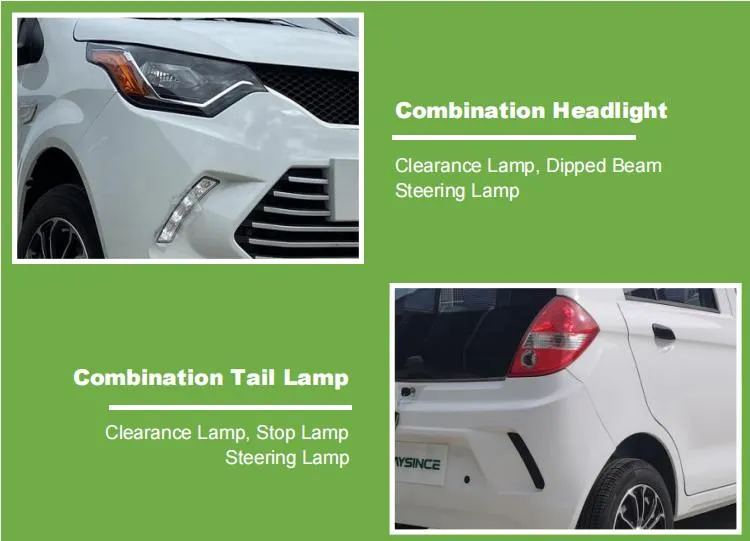 Qingdao Raysince Rhd Electric Car Electric Vehicle