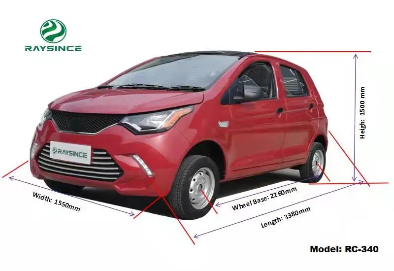 Qingdao Raysince Rhd Electric Car Electric Vehicle