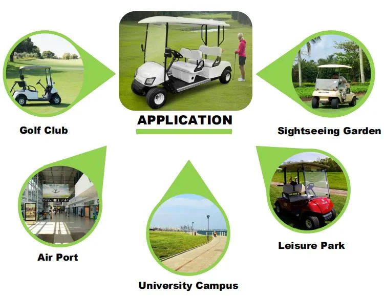 Raysince Open 2+2 Seats Electric Sightseeing Bus with Certifaction /Unique Mini Bus Golf Electric Cart with Beatiful Woof