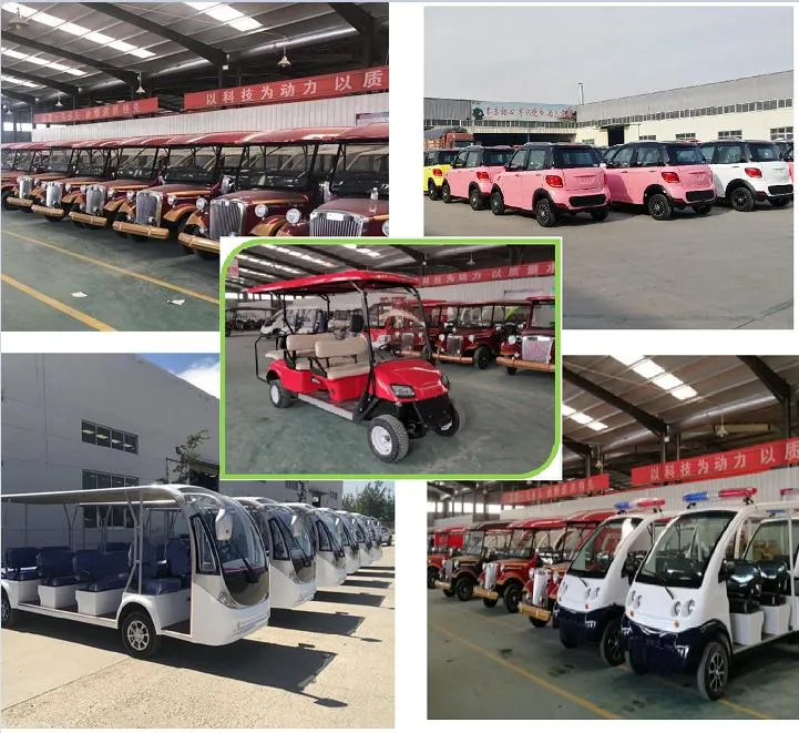 Raysince Open 2+2 Seats Electric Sightseeing Bus with Certifaction /Unique Mini Bus Golf Electric Cart with Beatiful Woof