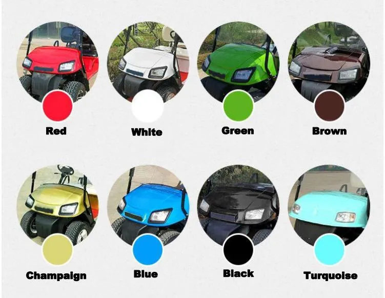 Raysince Open 2+2 Seats Electric Sightseeing Bus with Certifaction /Unique Mini Bus Golf Electric Cart with Beatiful Woof